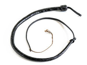 Snake whip