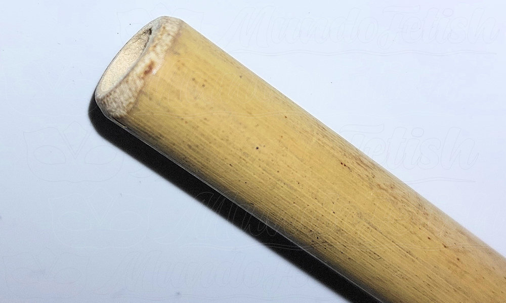 Bamboo cane