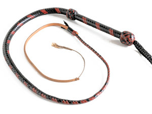 Bullwhip